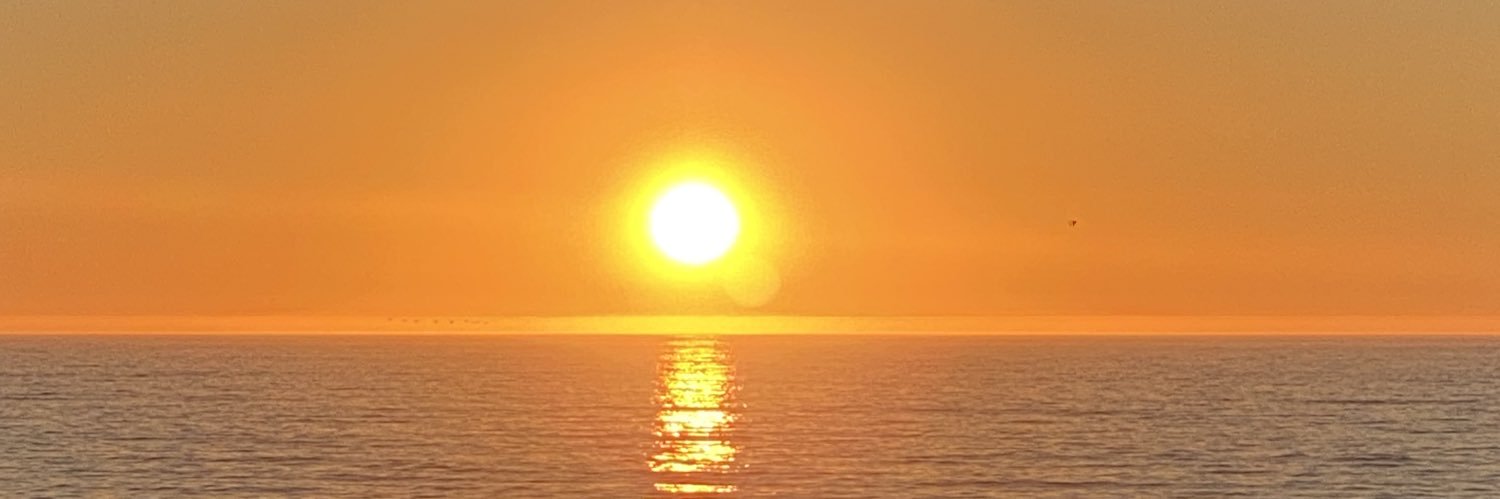 BeesTea13's profile banner image