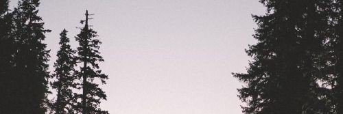 Caamilaa155's profile banner image
