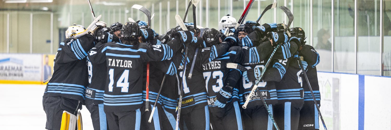 Caledonia Corvairs banner