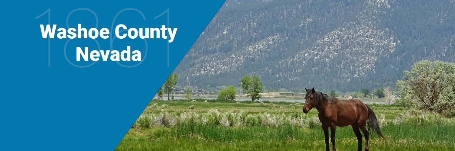 Washoe County banner