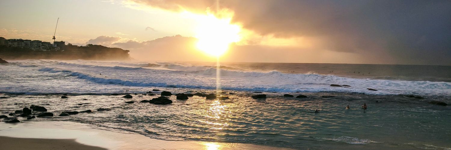 Leisa Reichelt banner