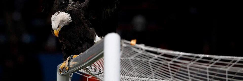 kadoirr's profile banner image