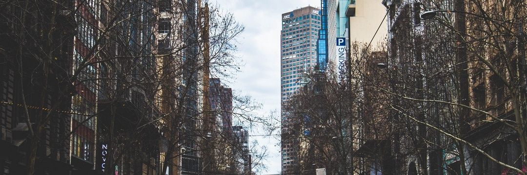pvldmr's profile banner image