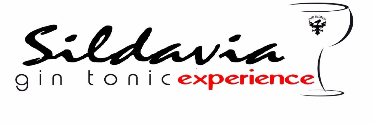 SildaviaPub's profile banner image