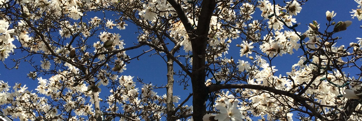 Emily Garrett banner