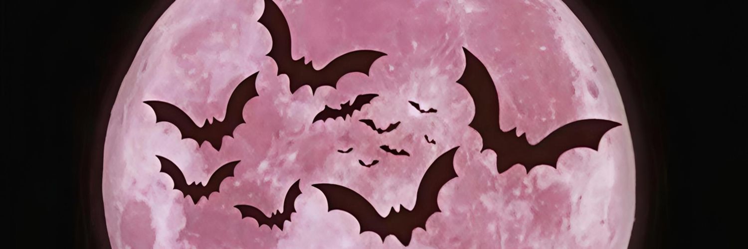 soylaurasm's profile banner image