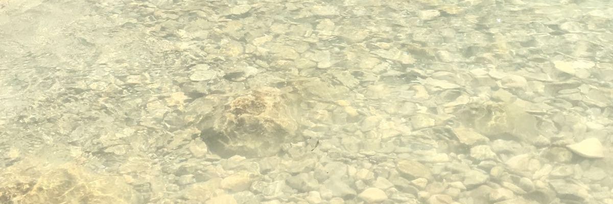 sasblohm's profile banner image