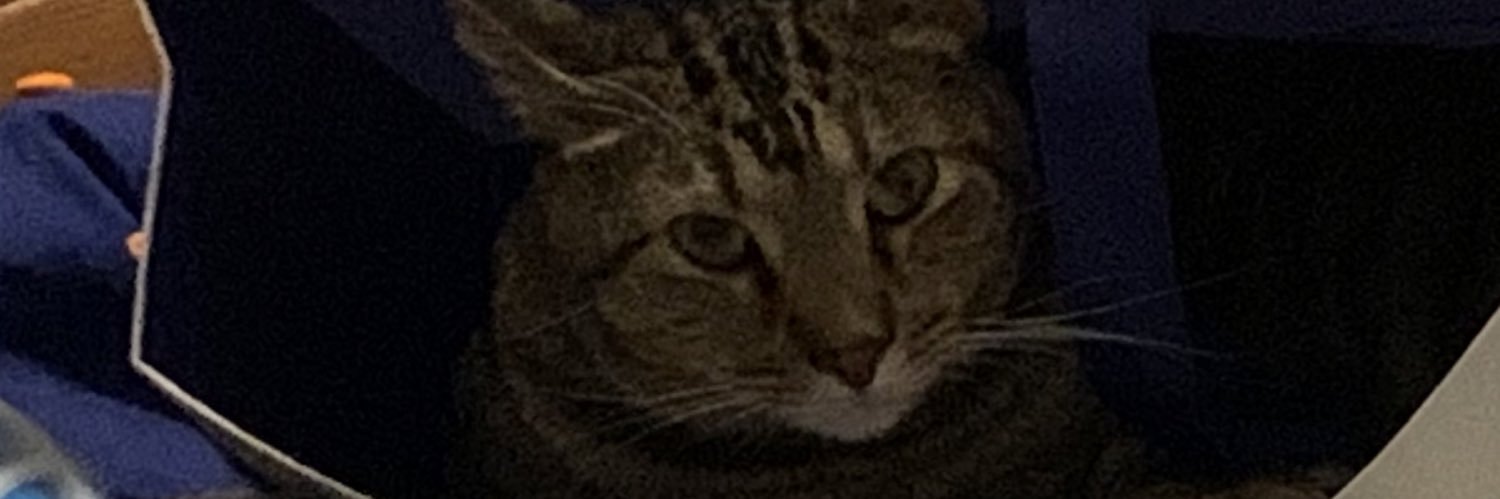 itsactuallyhim's profile banner image