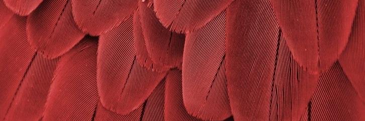 MargauxPetersen's profile banner image