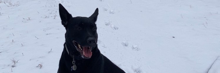 QM_79's profile banner image