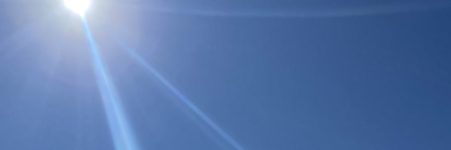 kelseylforrest's profile banner image
