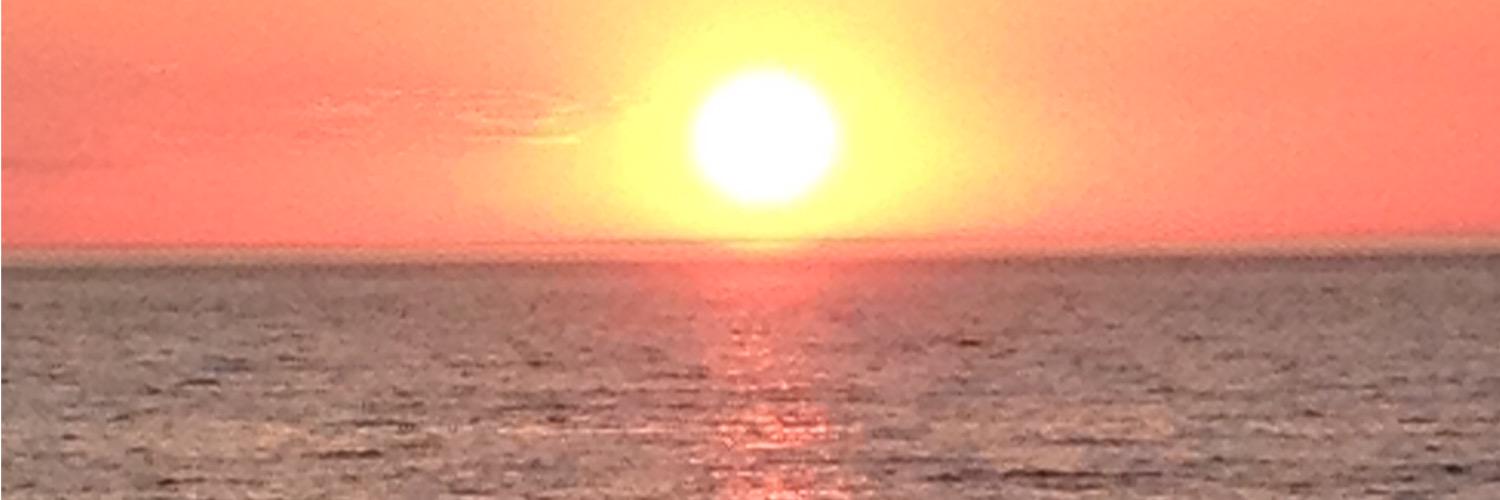 Vicki300's profile banner image