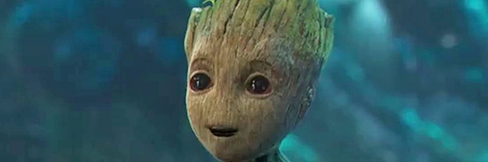 Julien RODRIGUES ROQUE banner