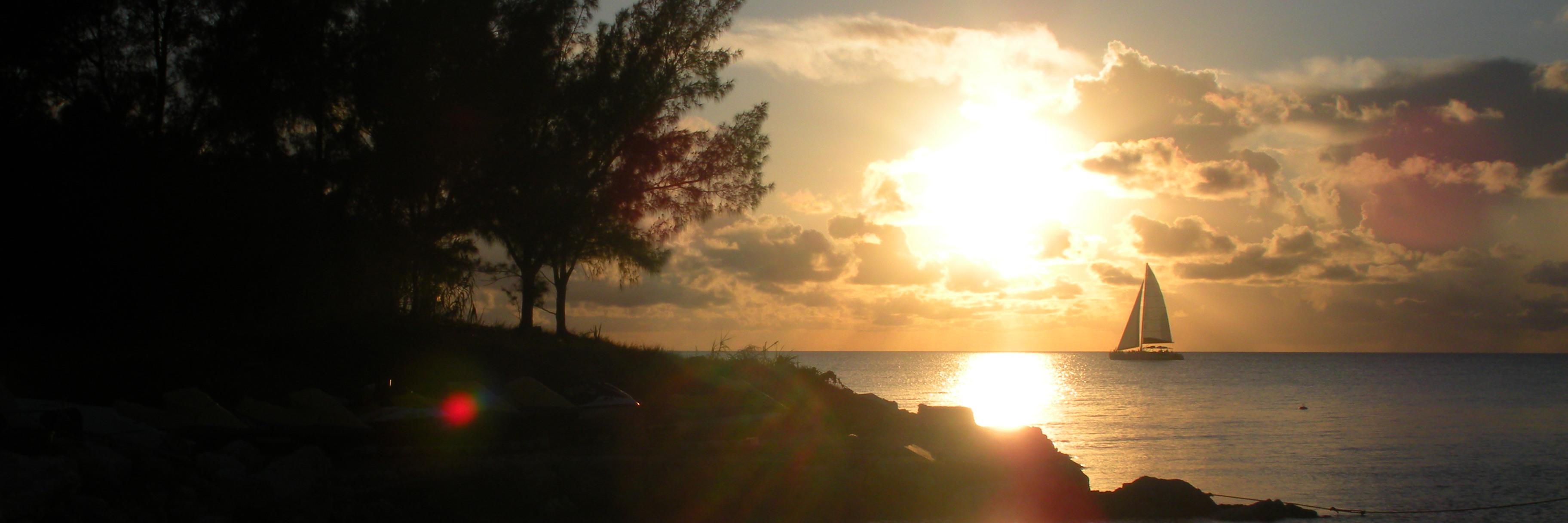 AL55S's profile banner image