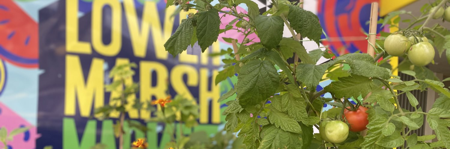 LowerMarshMrkt's profile banner image