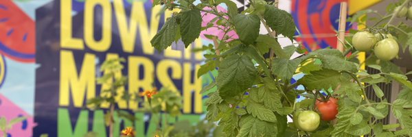 LowerMarshMrkt Profile Banner
