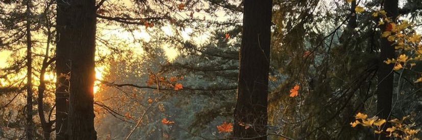 abirthatatime's profile banner image
