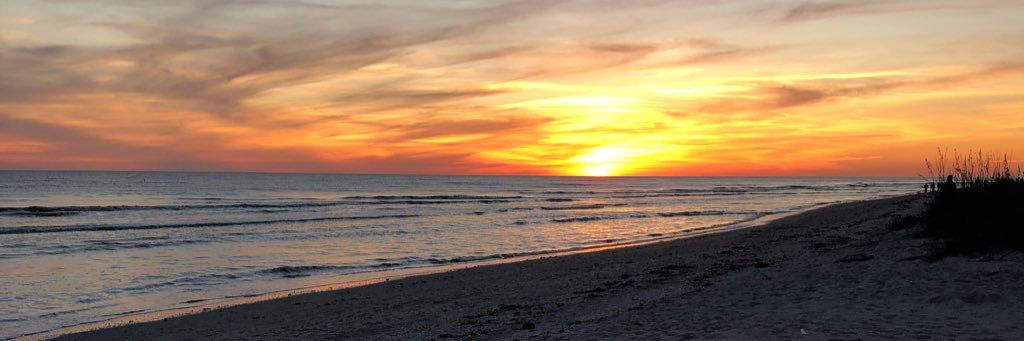emilybrodz's profile banner image