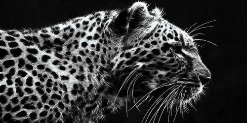 _xMexxx's profile banner image