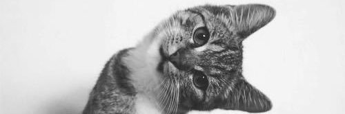 beatrizaguiarss's profile banner image