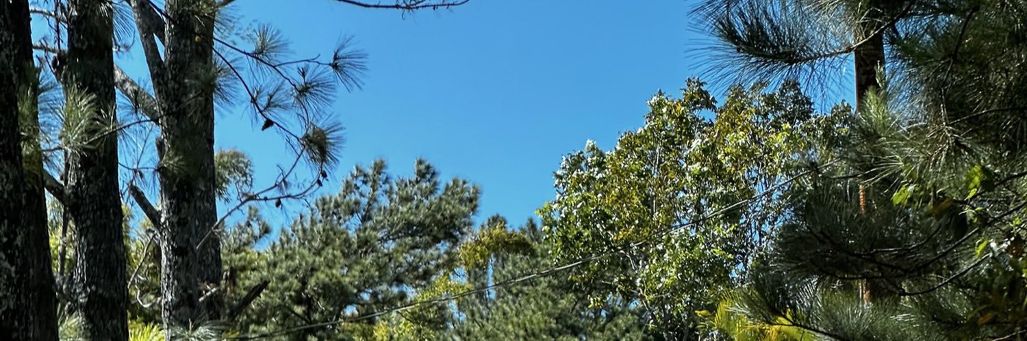 leonessy's profile banner image