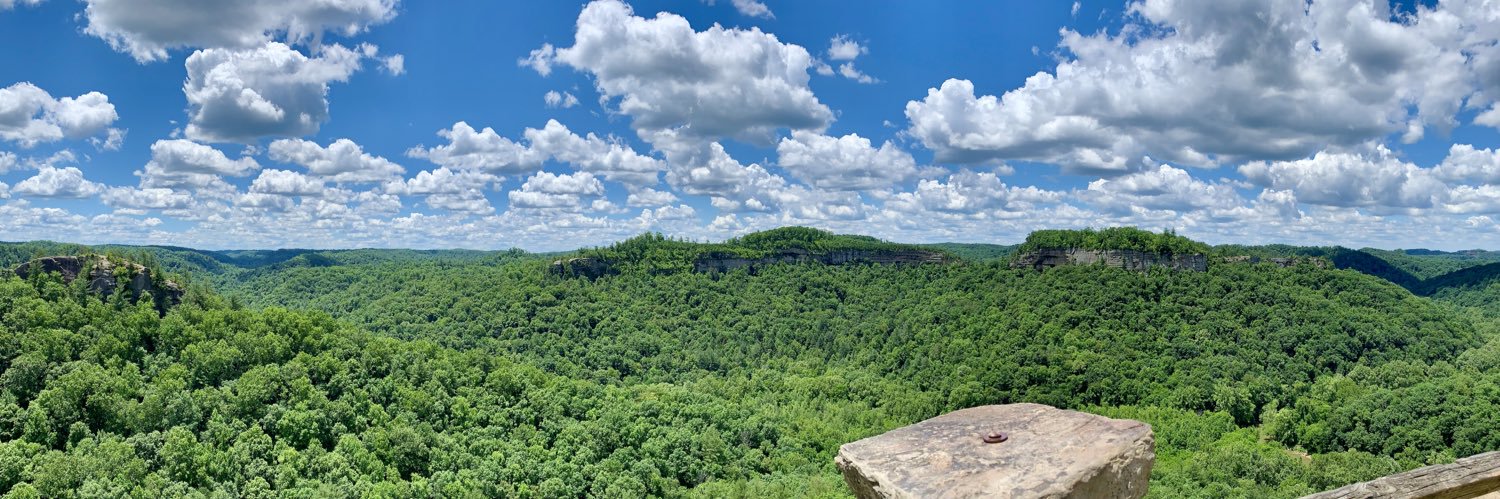 mere_mcinturff's profile banner image