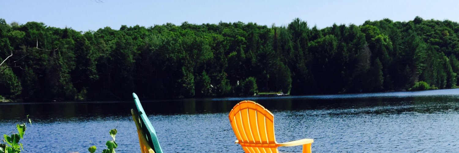 catvrl's profile banner image