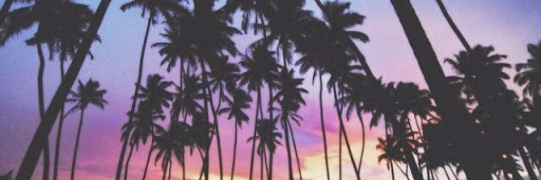 sisayaz's profile banner image