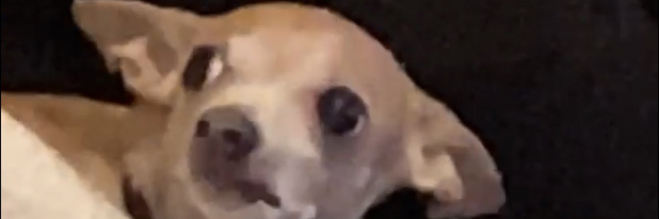 allietuma's profile banner image