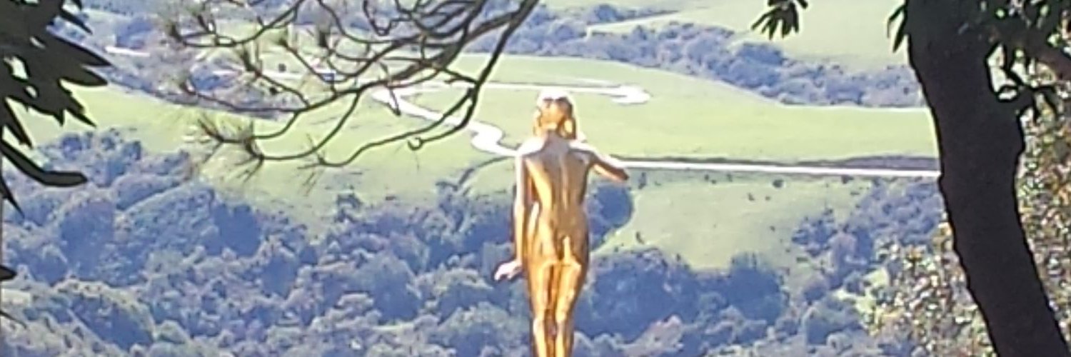 Angela Stirling banner