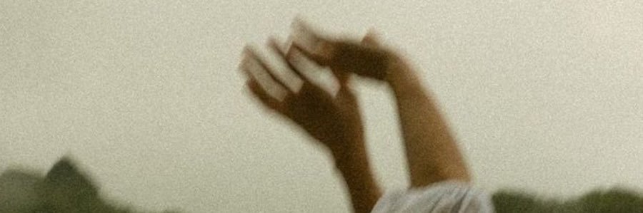 sofiadefays's profile banner image