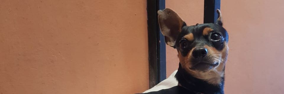 AlexCanales3's profile banner image