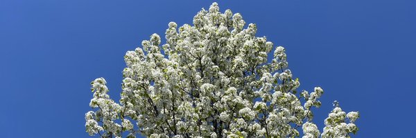 jsender23 Profile Banner