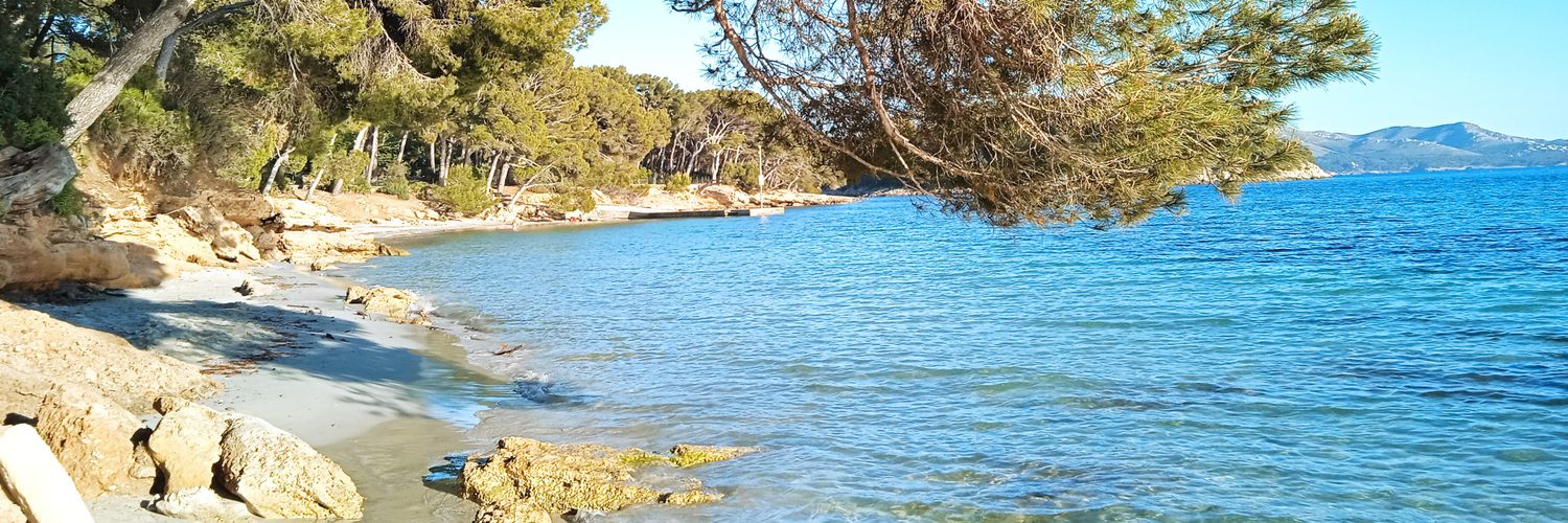 María J. Pérez banner