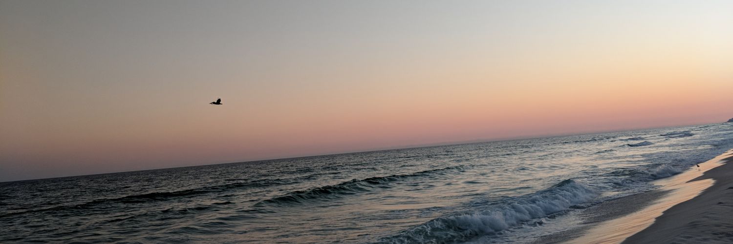 lauracoale's profile banner image