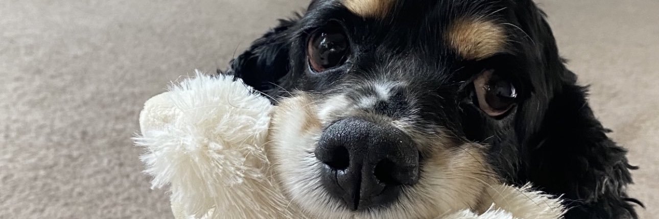 jack_innthebox's profile banner image