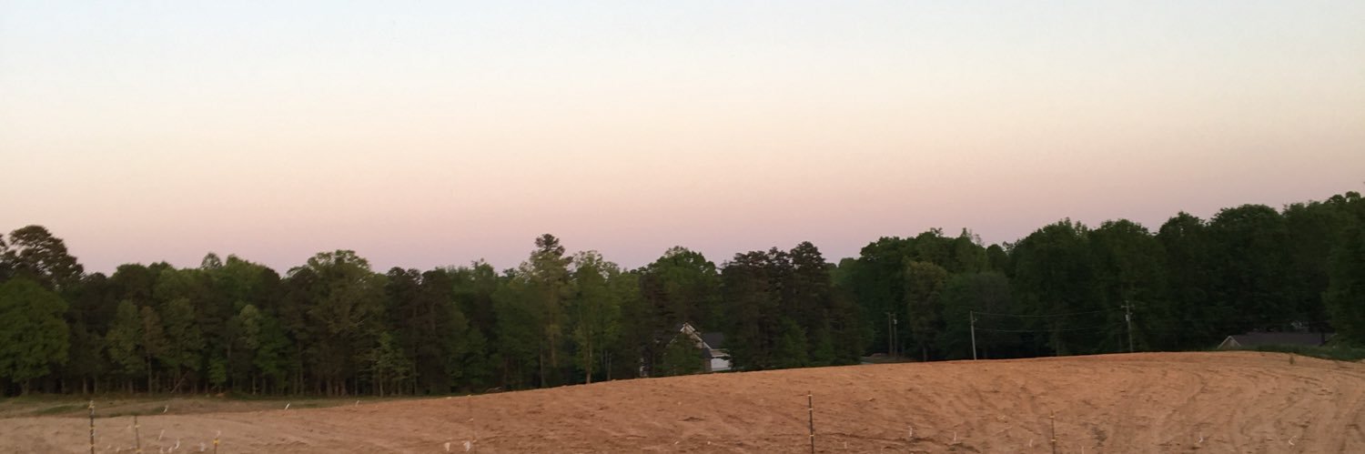 Megan_Lind's profile banner image