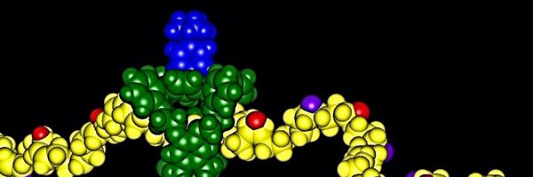 Dr_Bernhard Profile Banner