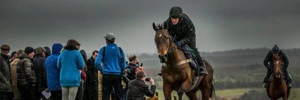 pedromaz123 Profile Banner