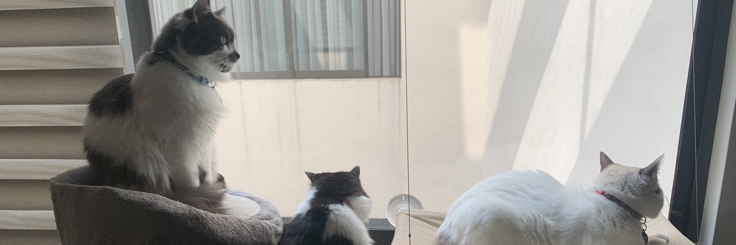 Yuly A. Remolina banner