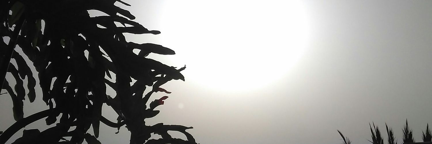 magbelgi's profile banner image