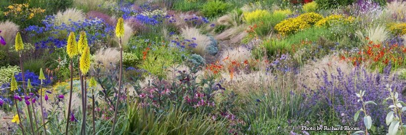 Garden Design Mag banner