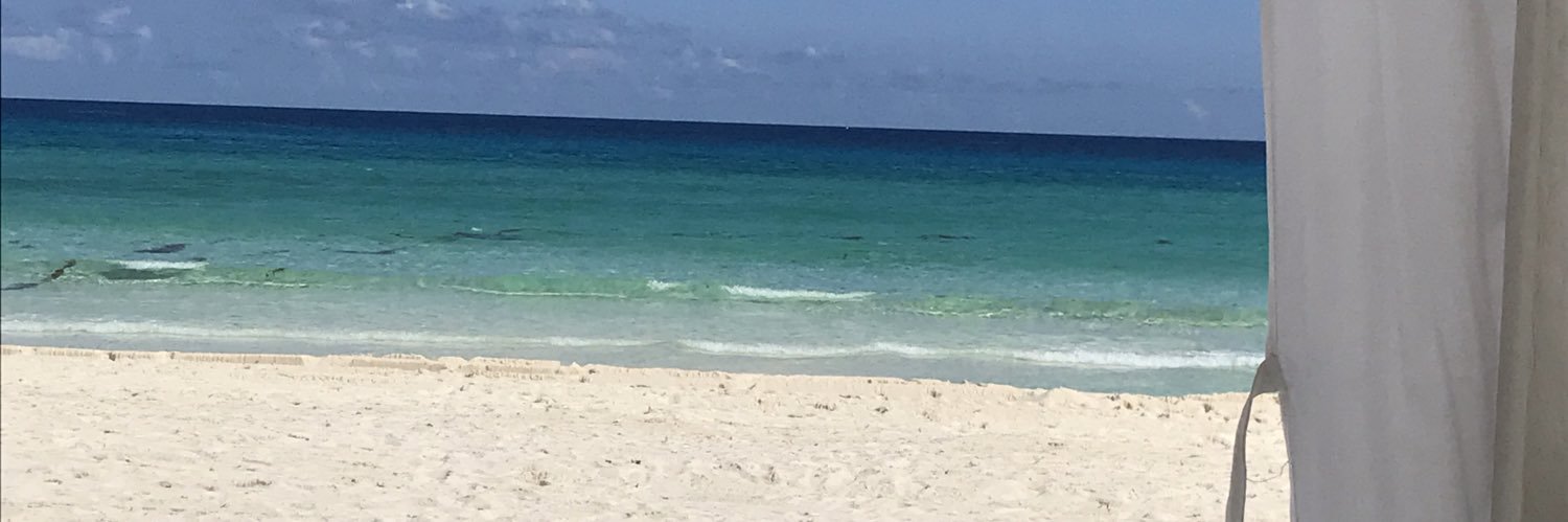 Krystina Chickerillo MSN, FNP-BC banner