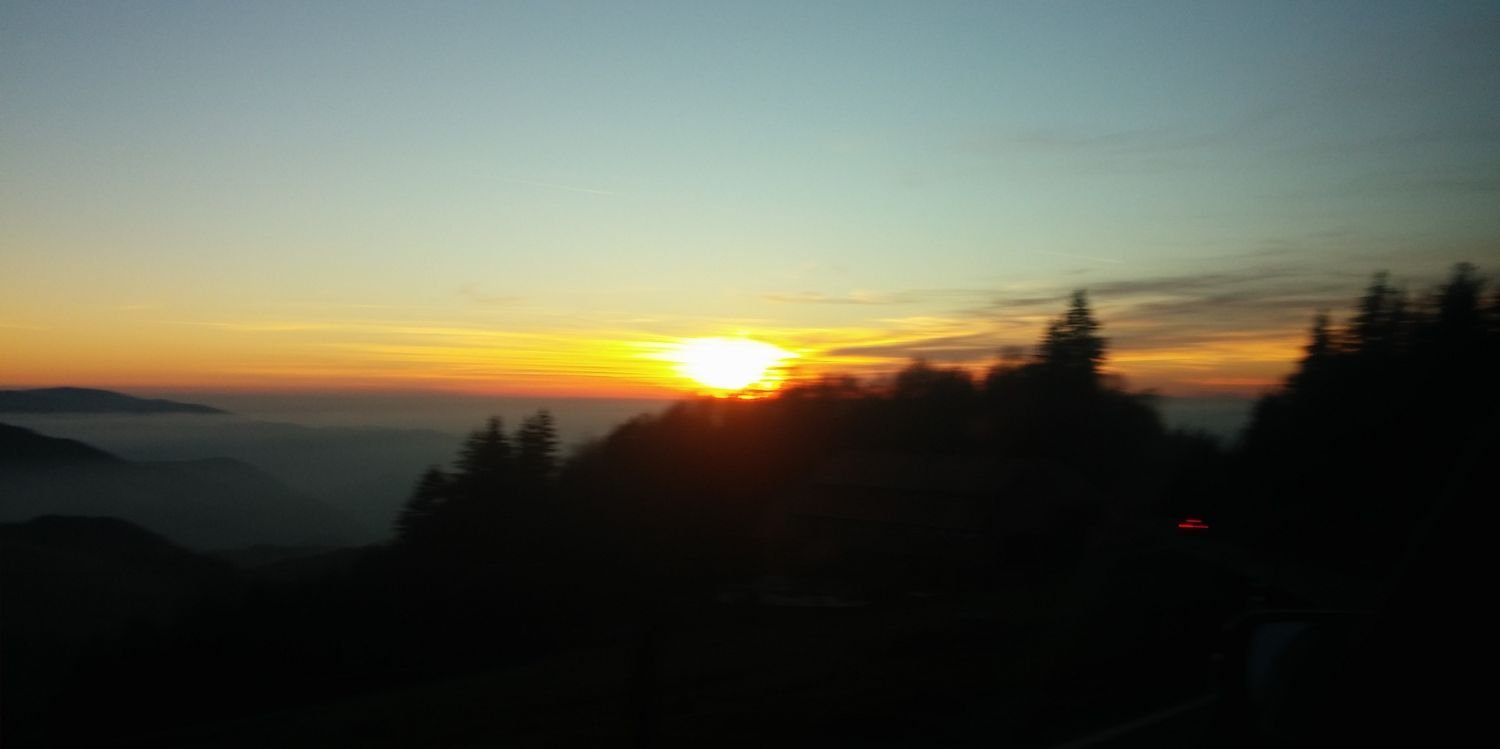 TaylorReutman's profile banner image
