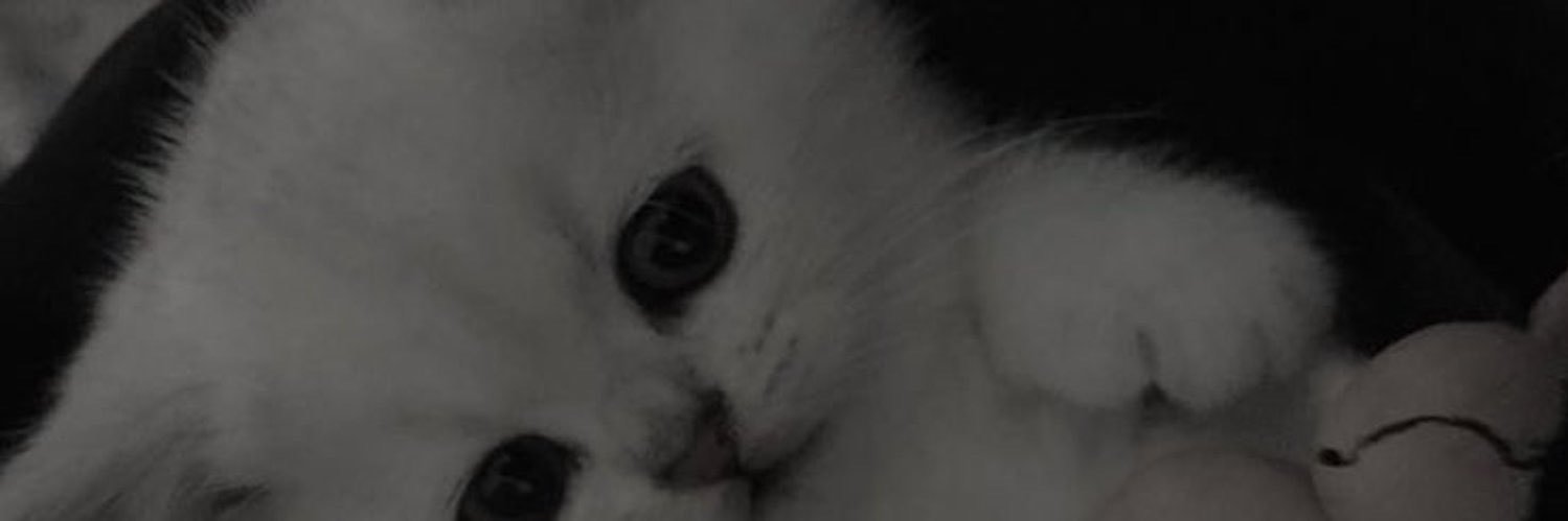 sole23145's profile banner image
