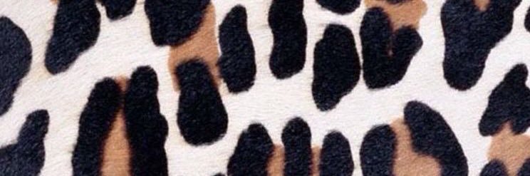 MissDimplesMae's profile banner image