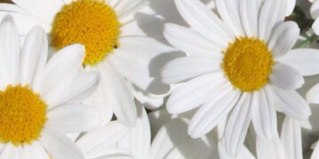 mahoneje's profile banner image