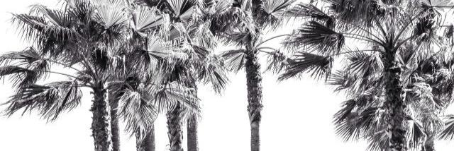 ChaseJohnsonLA's profile banner image