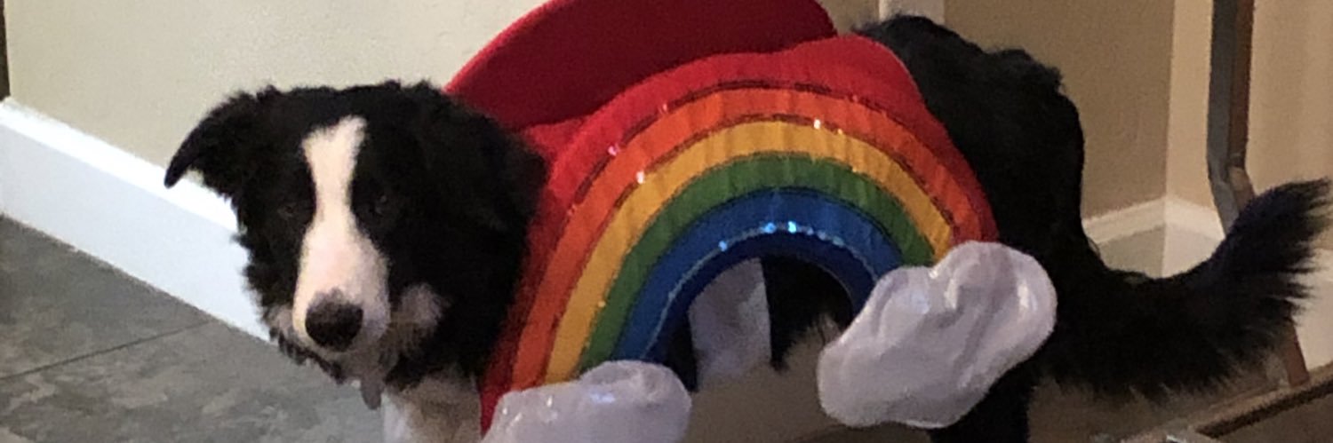 kayconde's profile banner image