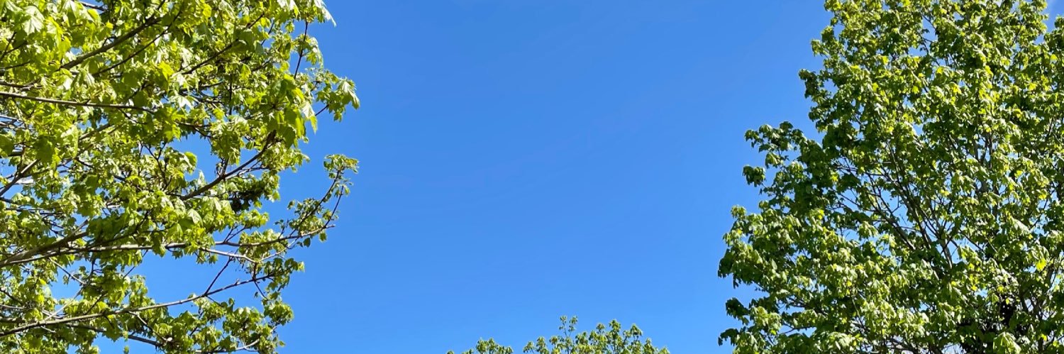 BT_Fan2000's profile banner image